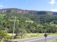 Numinbah Valley - Wooded Vales